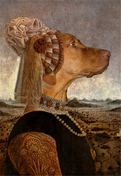 Luka (vizsla) meets Piero della Francesca